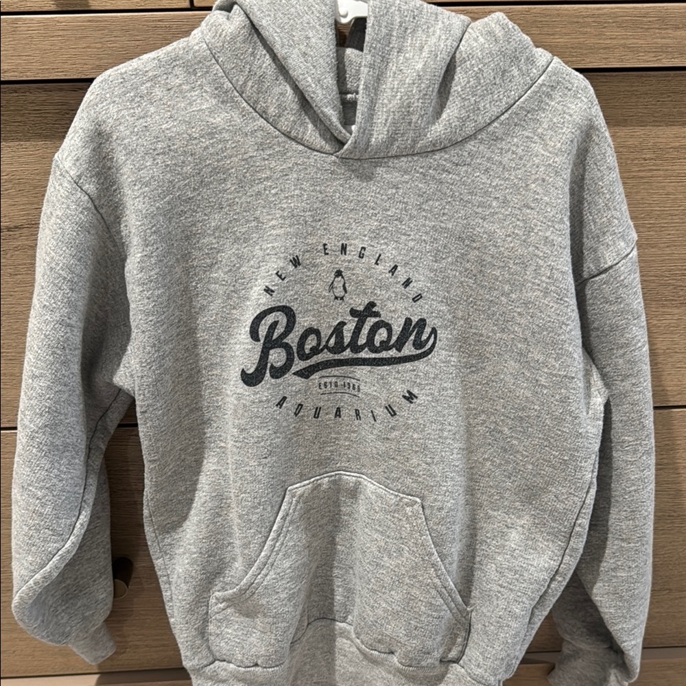 Gray Boston Hoodie Kids